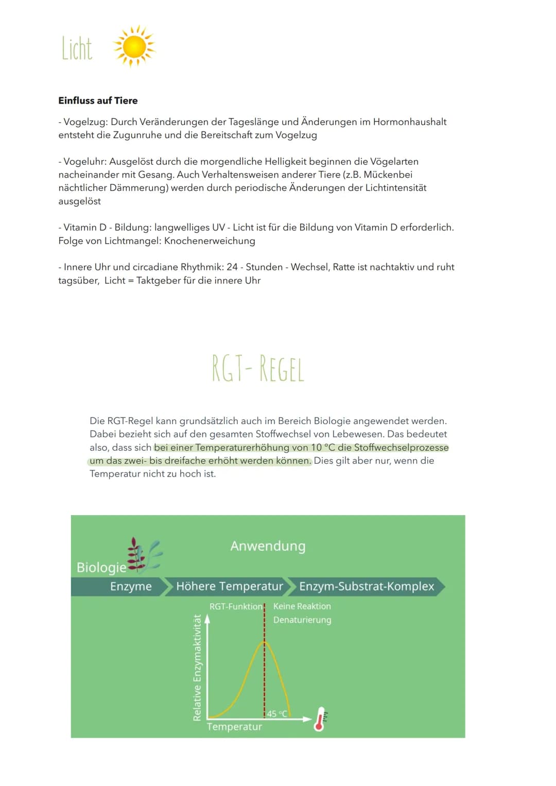 Abiotischer Umweltfaktor Licht
AUSWIRKUNGEN AUF PFLANZLICHE ORGANISMEN
Allgemein
Bei Pflanzen liefert Licht die Energie für die Fotosynthese