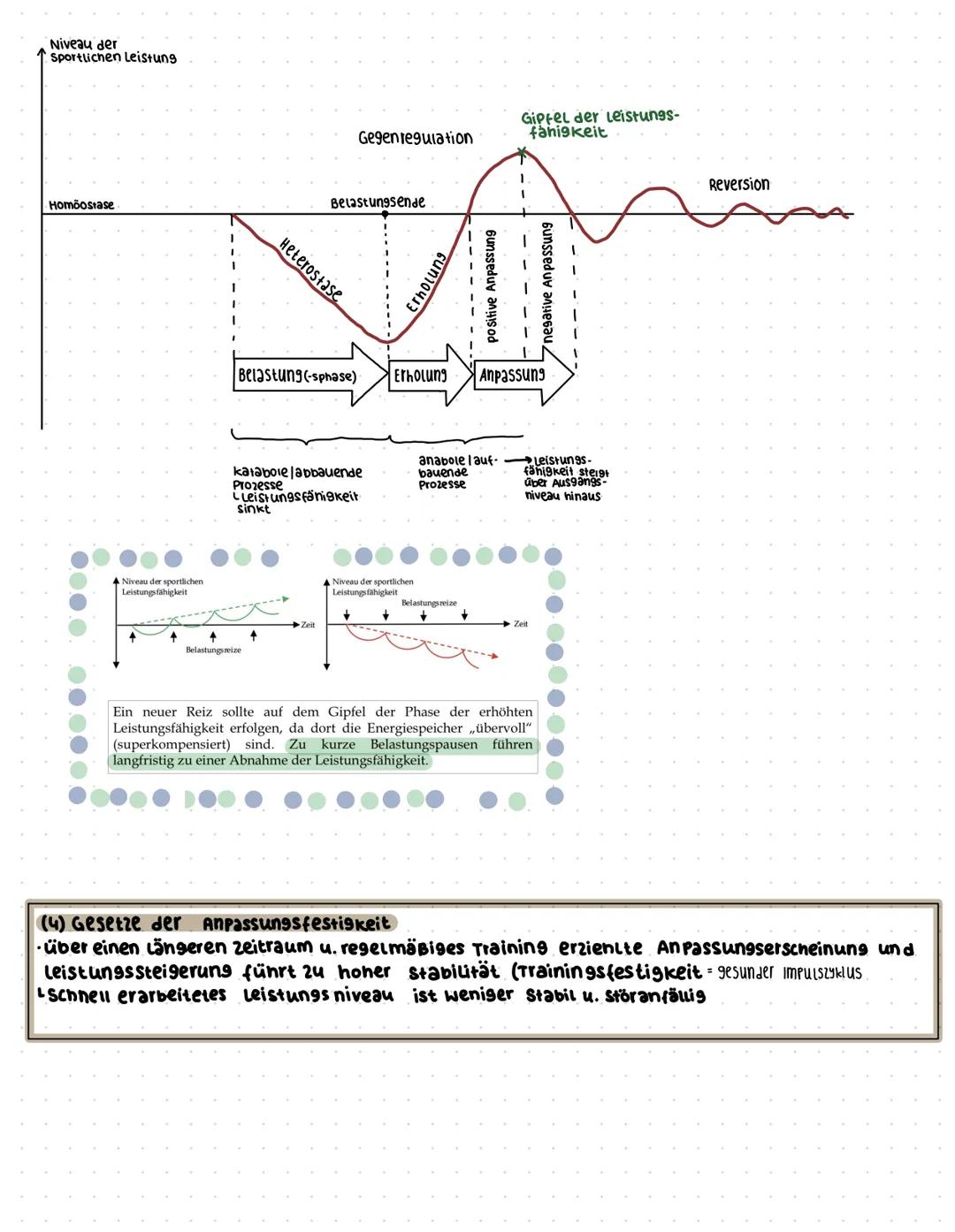 SportklausuF:
Was bedeutet Leistung und Training im Sport?
komponenten zur sportlichen Leistung
(weineck.2019)
Volition, Emotion,
Motivation