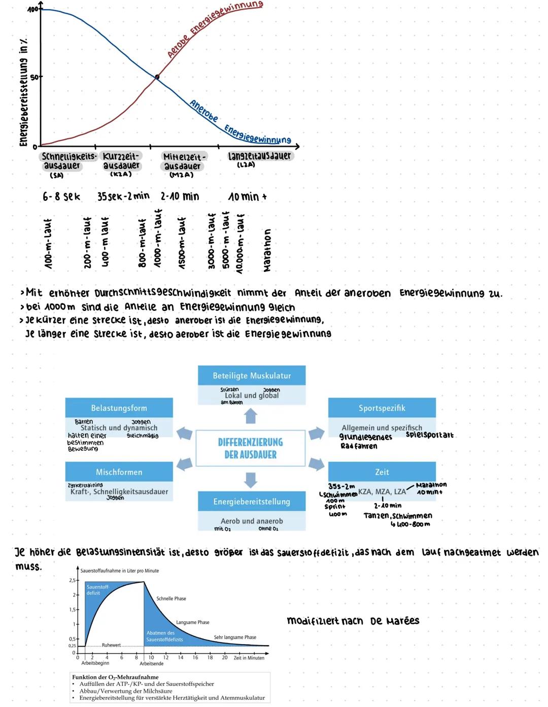 SportklausuF:
Was bedeutet Leistung und Training im Sport?
komponenten zur sportlichen Leistung
(weineck.2019)
Volition, Emotion,
Motivation