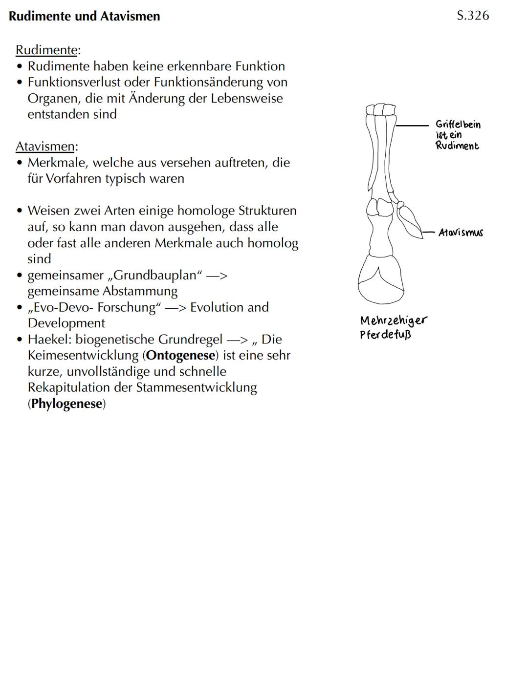 Com
EVOLUTION Skript Evolution - Veränderung und Vielfalt
Veränderung in kleinen und großen Schritten
- Evolution bedeutet Entwicklung
- Phä