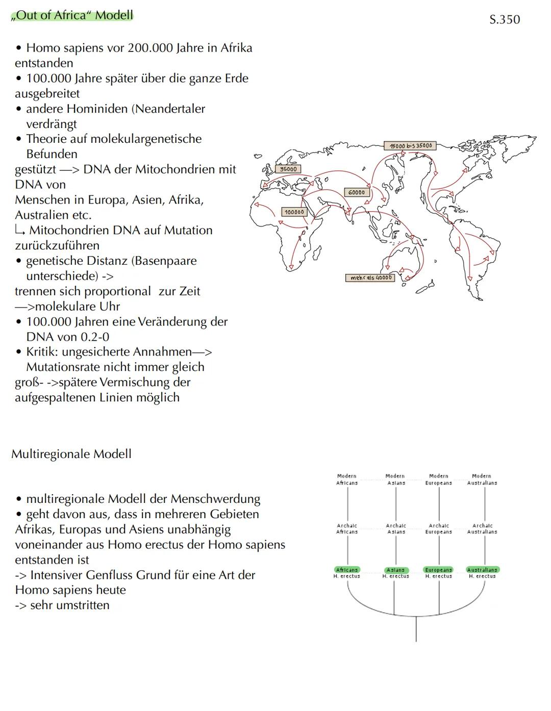 Com
EVOLUTION Skript Evolution - Veränderung und Vielfalt
Veränderung in kleinen und großen Schritten
- Evolution bedeutet Entwicklung
- Phä