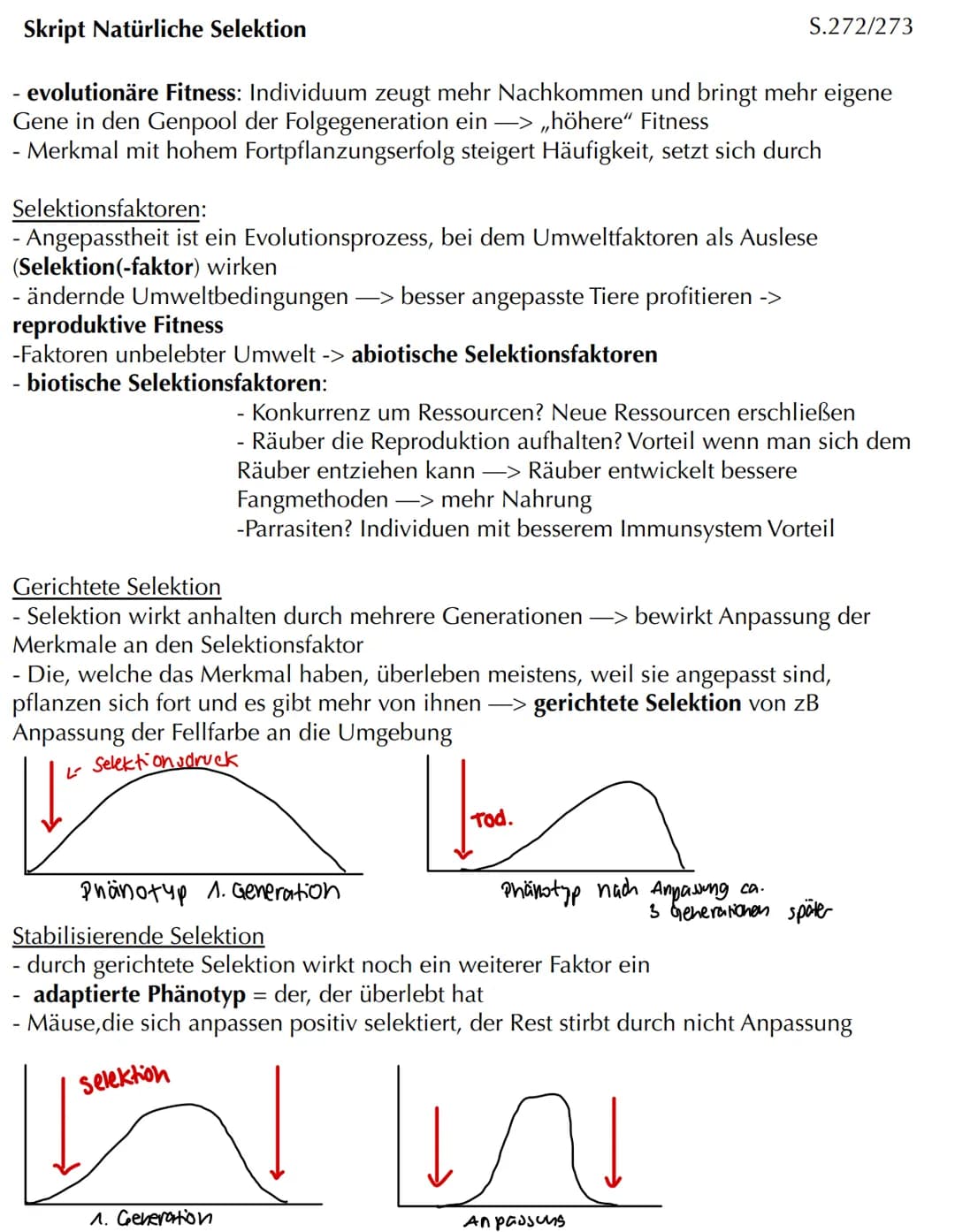 Com
EVOLUTION Skript Evolution - Veränderung und Vielfalt
Veränderung in kleinen und großen Schritten
- Evolution bedeutet Entwicklung
- Phä