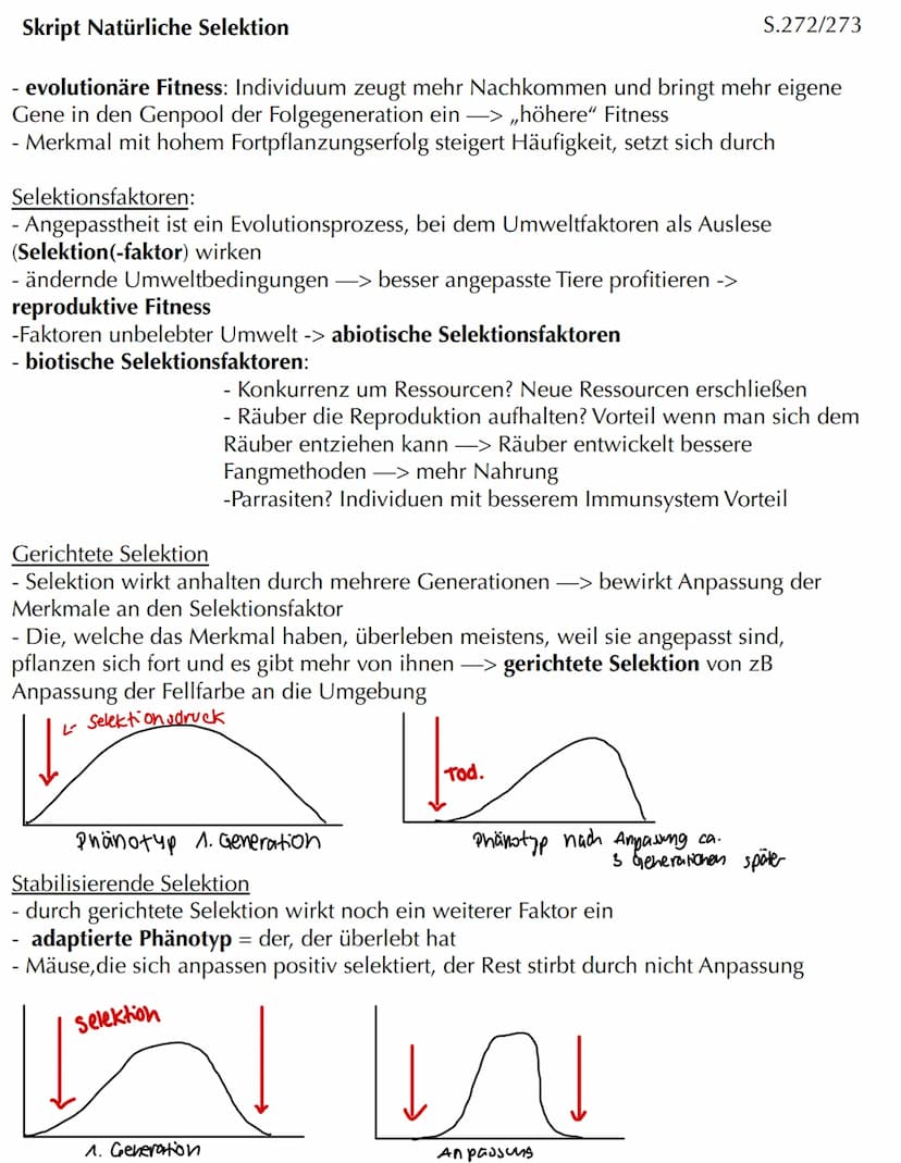 Com
EVOLUTION Skript Evolution - Veränderung und Vielfalt
Veränderung in kleinen und großen Schritten
- Evolution bedeutet Entwicklung
- Phä