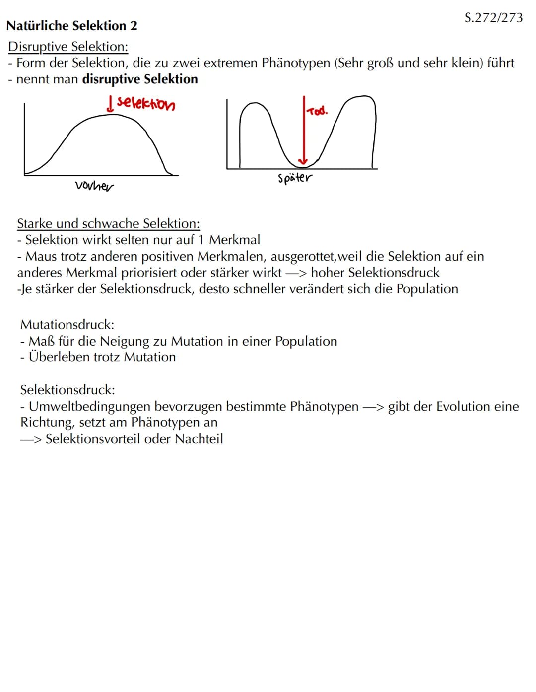 Com
EVOLUTION Skript Evolution - Veränderung und Vielfalt
Veränderung in kleinen und großen Schritten
- Evolution bedeutet Entwicklung
- Phä