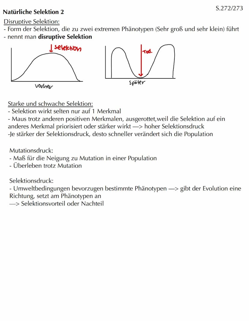 Com
EVOLUTION Skript Evolution - Veränderung und Vielfalt
Veränderung in kleinen und großen Schritten
- Evolution bedeutet Entwicklung
- Phä