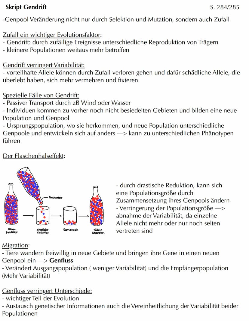 Com
EVOLUTION Skript Evolution - Veränderung und Vielfalt
Veränderung in kleinen und großen Schritten
- Evolution bedeutet Entwicklung
- Phä