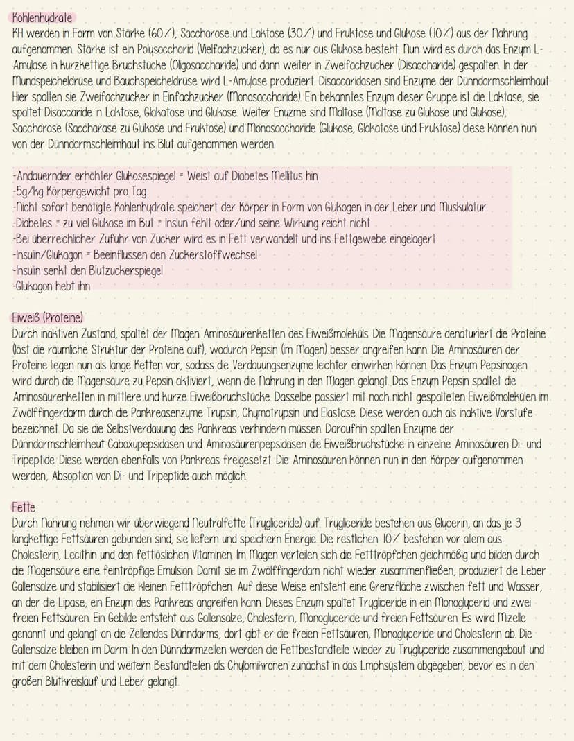 Verdauungssystem
Gesundheit Speiseröhre und Magen
Speiseröhre Osophagus
Leber = Hepar
Magen - Gaster
Mageneingang - Kardia
Magengrund - Fund