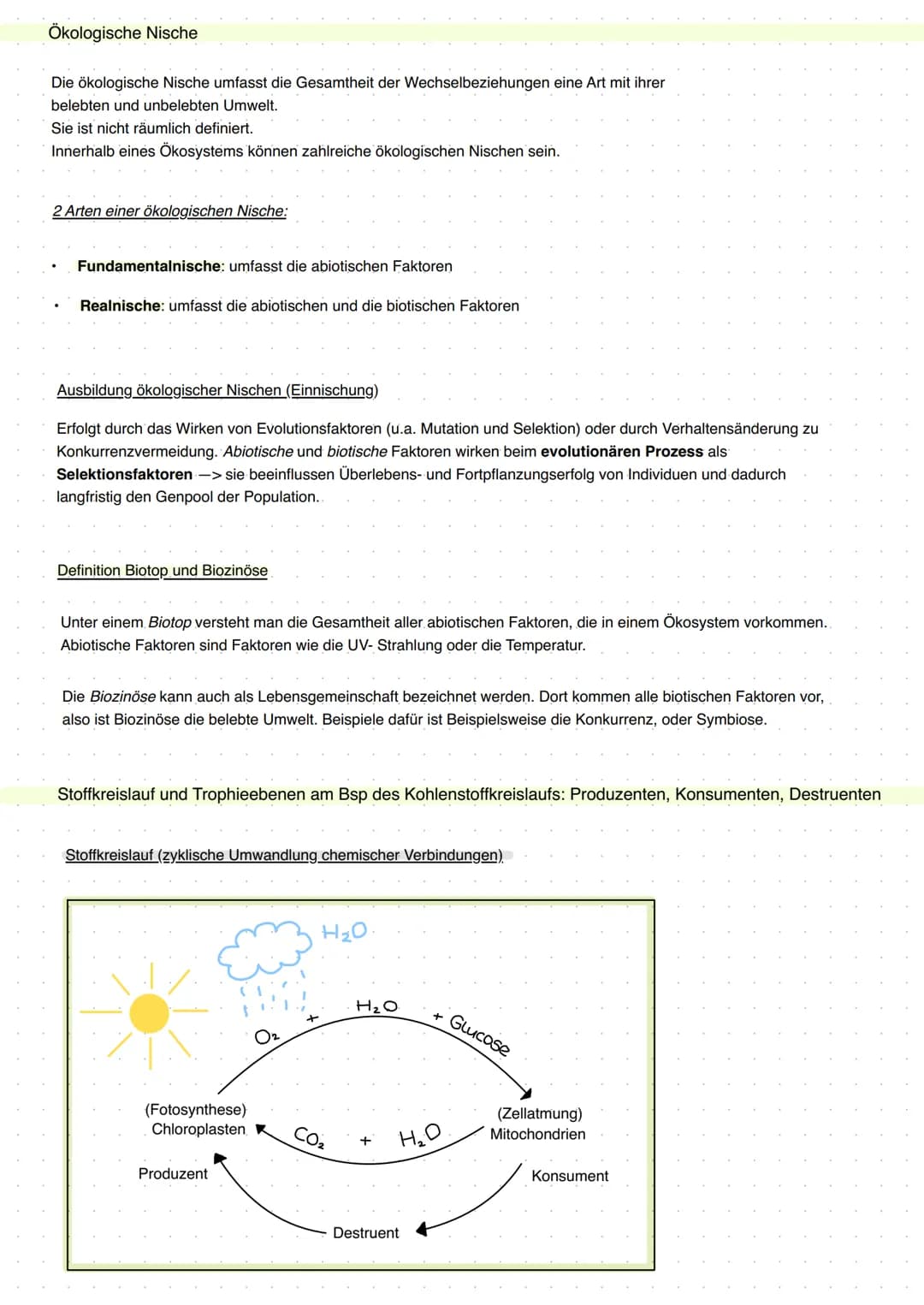 20 Abiotische Faktoren und deren Einfluss
abiotisch (unbelebte Umwelt)
Licht, Temperatur, Salzgehalt, Wasser,
Radioaktivität, Wind, Schadsto