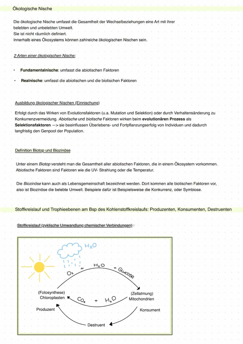 20 Abiotische Faktoren und deren Einfluss
abiotisch (unbelebte Umwelt)
Licht, Temperatur, Salzgehalt, Wasser,
Radioaktivität, Wind, Schadsto