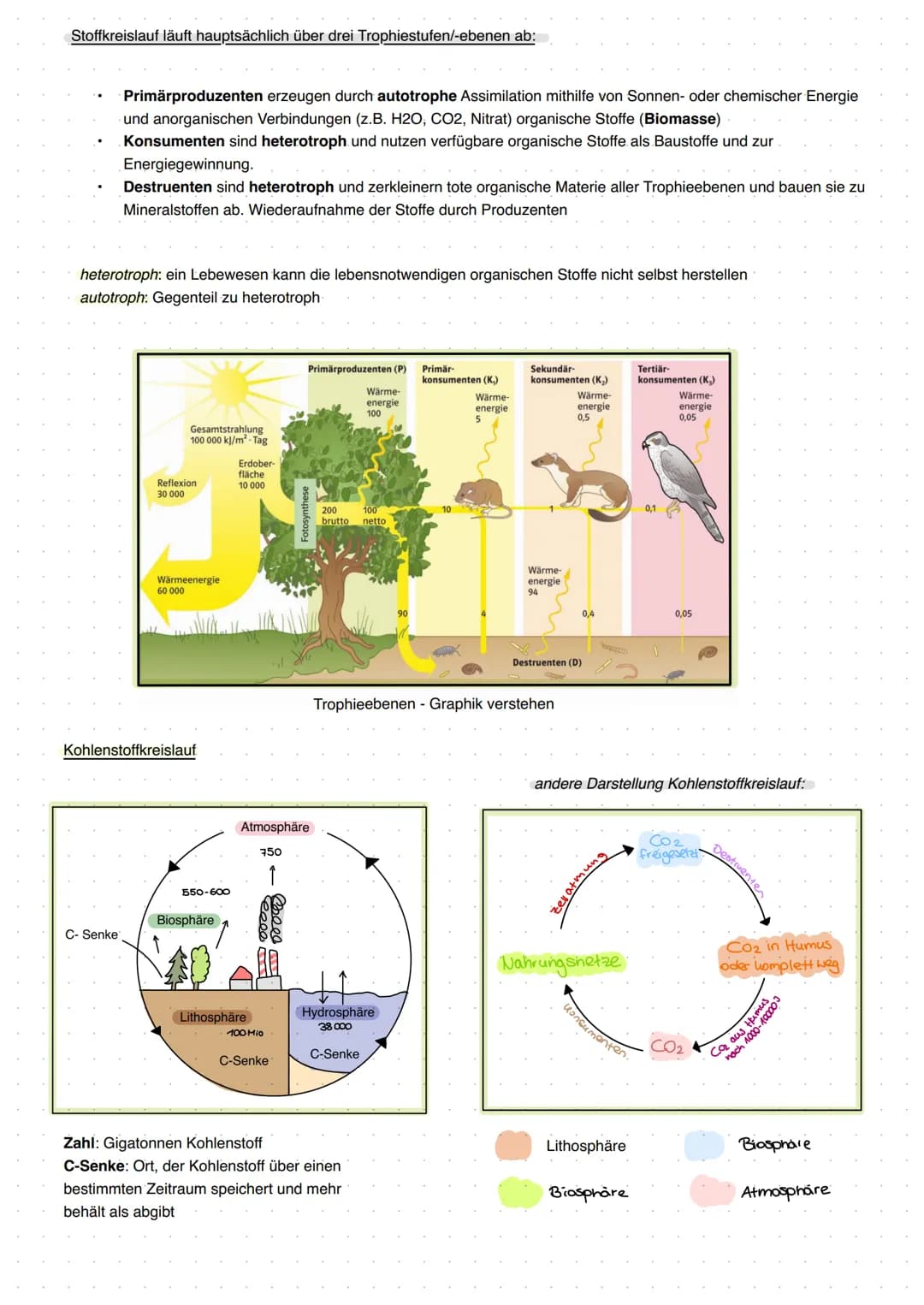 20 Abiotische Faktoren und deren Einfluss
abiotisch (unbelebte Umwelt)
Licht, Temperatur, Salzgehalt, Wasser,
Radioaktivität, Wind, Schadsto