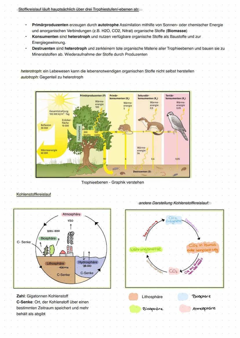20 Abiotische Faktoren und deren Einfluss
abiotisch (unbelebte Umwelt)
Licht, Temperatur, Salzgehalt, Wasser,
Radioaktivität, Wind, Schadsto