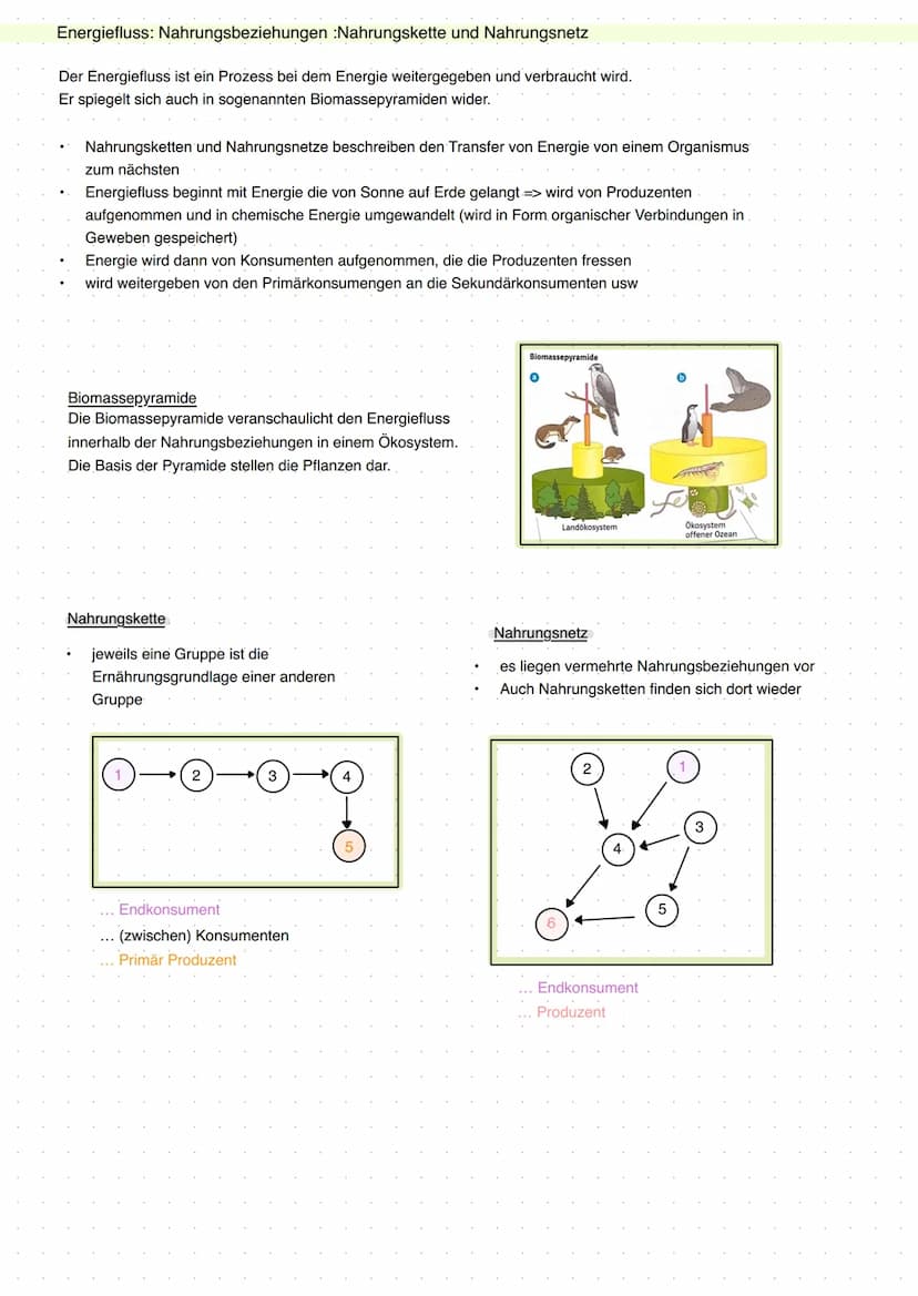 20 Abiotische Faktoren und deren Einfluss
abiotisch (unbelebte Umwelt)
Licht, Temperatur, Salzgehalt, Wasser,
Radioaktivität, Wind, Schadsto