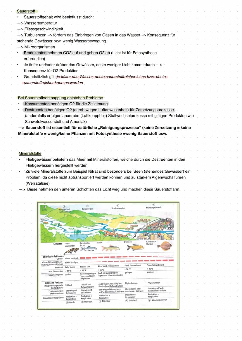 20 Abiotische Faktoren und deren Einfluss
abiotisch (unbelebte Umwelt)
Licht, Temperatur, Salzgehalt, Wasser,
Radioaktivität, Wind, Schadsto