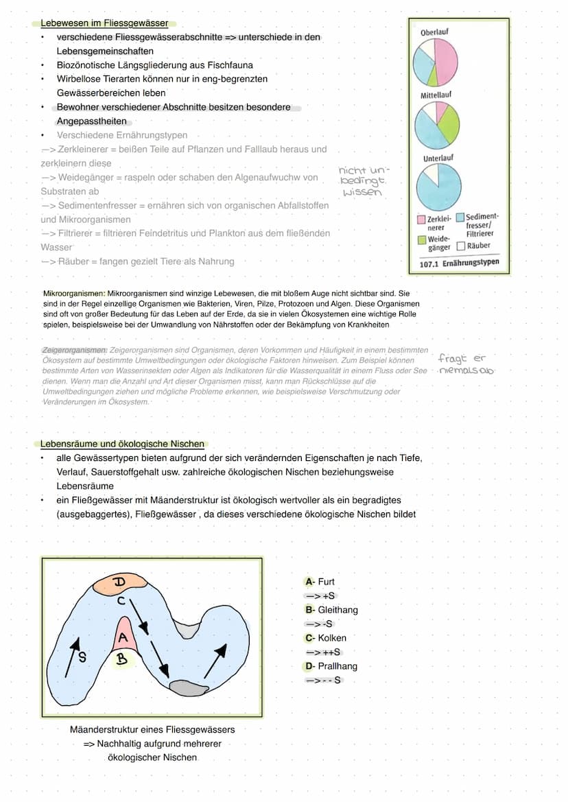 20 Abiotische Faktoren und deren Einfluss
abiotisch (unbelebte Umwelt)
Licht, Temperatur, Salzgehalt, Wasser,
Radioaktivität, Wind, Schadsto