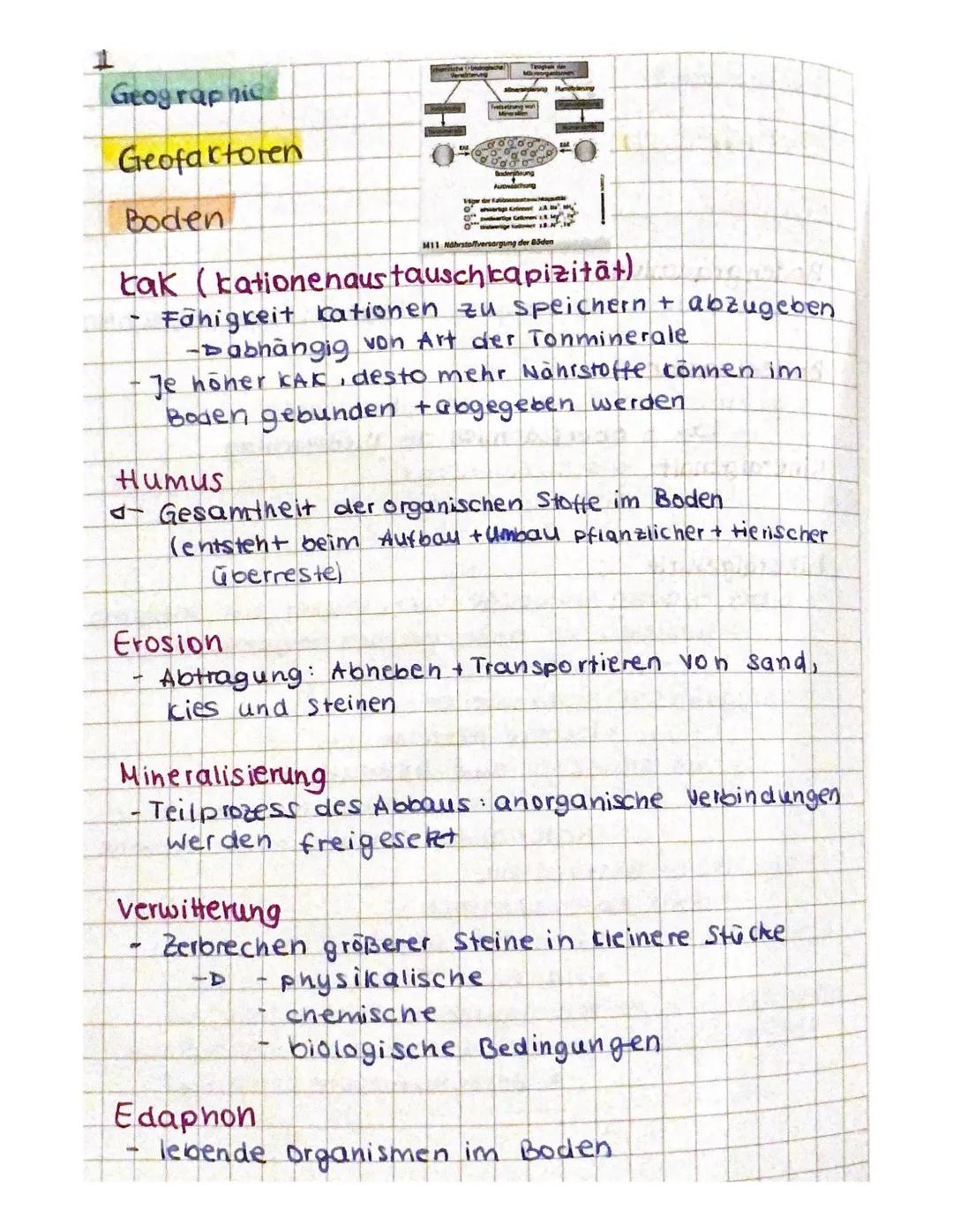 H
t
Luftdruck (hPa)
(2.3. In 5000 m Höhe)
Geographic
Geofaktoren
Luftdruck
Gradientcraft.
- Gradient des Luftdrucks (Druckunterschiede)
-
5.