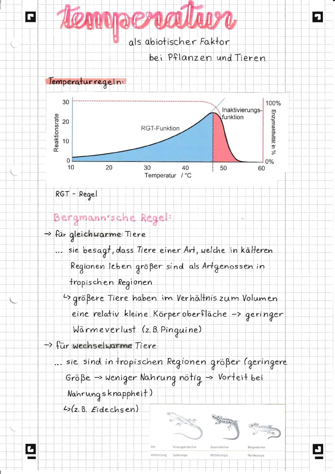 Abiotischer Faktor Temperatur 🤓🌡