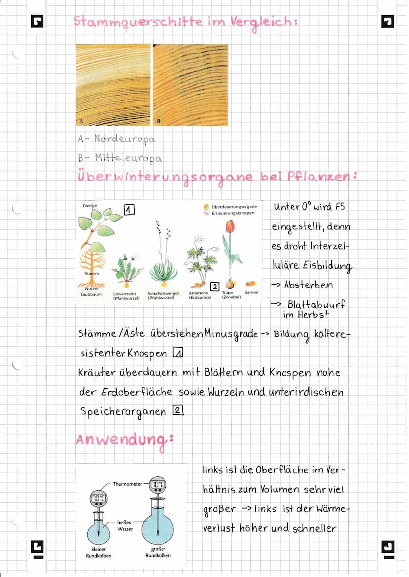 IG
Temperaturregeln:
Reaktionsrate
30
20
10
0
10
RGT-Regel
…..
20
als abiotischer Faktor
bei Pflanzen und Tieren
RGT-Funktion
30
40
Temperat