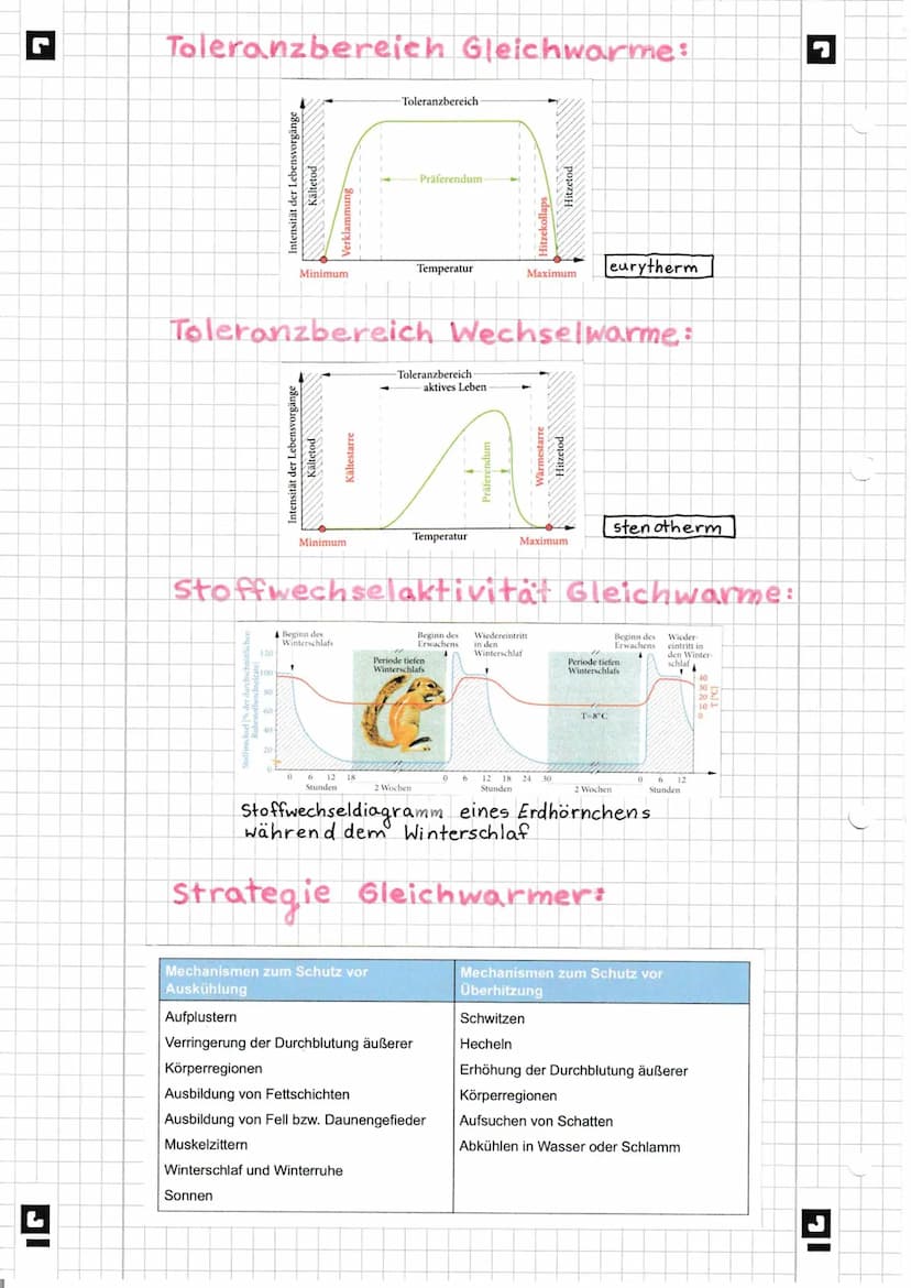 IG
Temperaturregeln:
Reaktionsrate
30
20
10
0
10
RGT-Regel
…..
20
als abiotischer Faktor
bei Pflanzen und Tieren
RGT-Funktion
30
40
Temperat