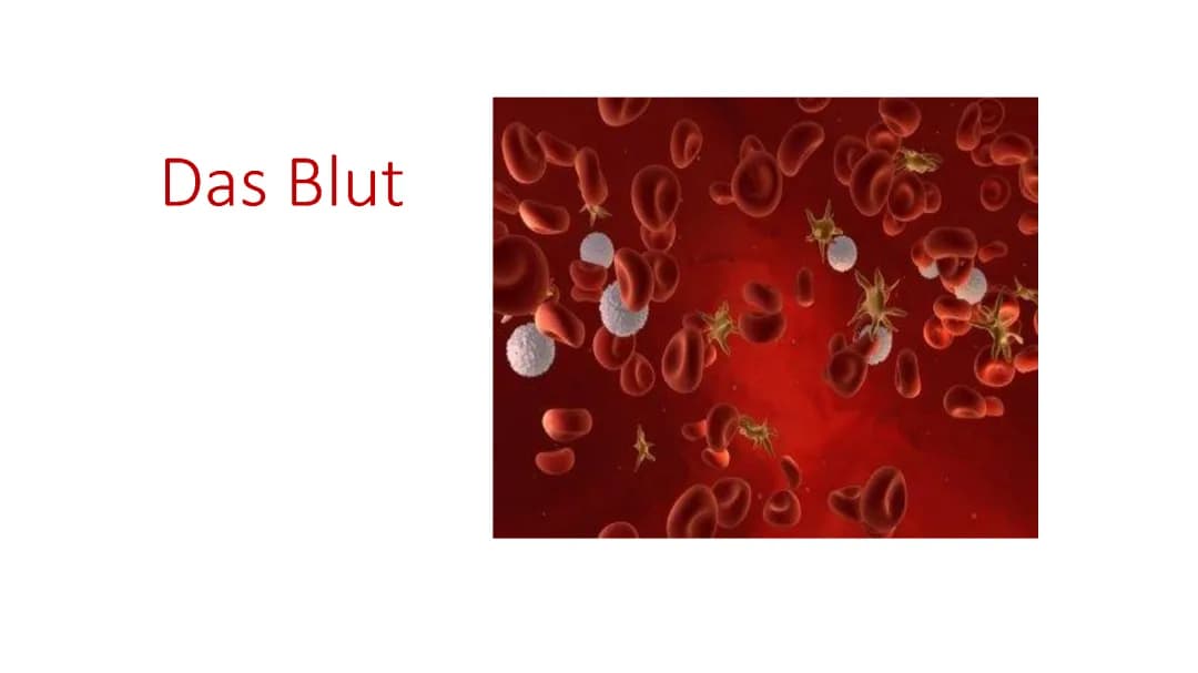 Das Blut