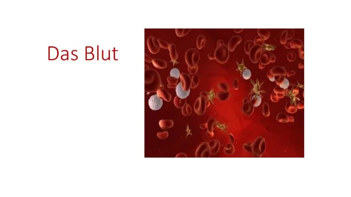 Know Das Blut thumbnail