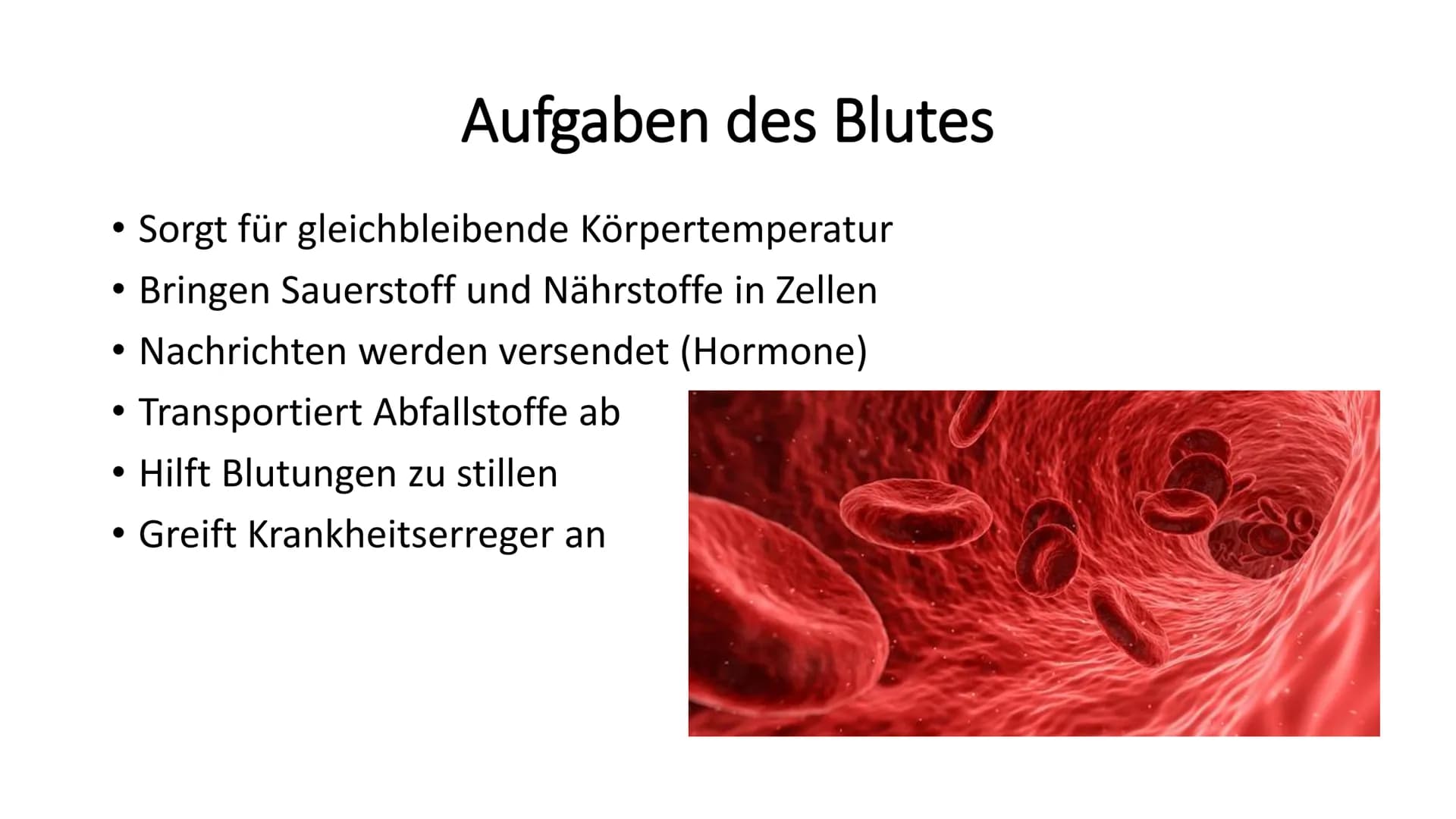 Das Blut
90 -
-
Gliederung
Woher kommt das Blut?
Aufgaben des Blutes
Zusammensetzung des Blutes
Bluttransfusion
- Blutgruppen
- Blutkrankhei