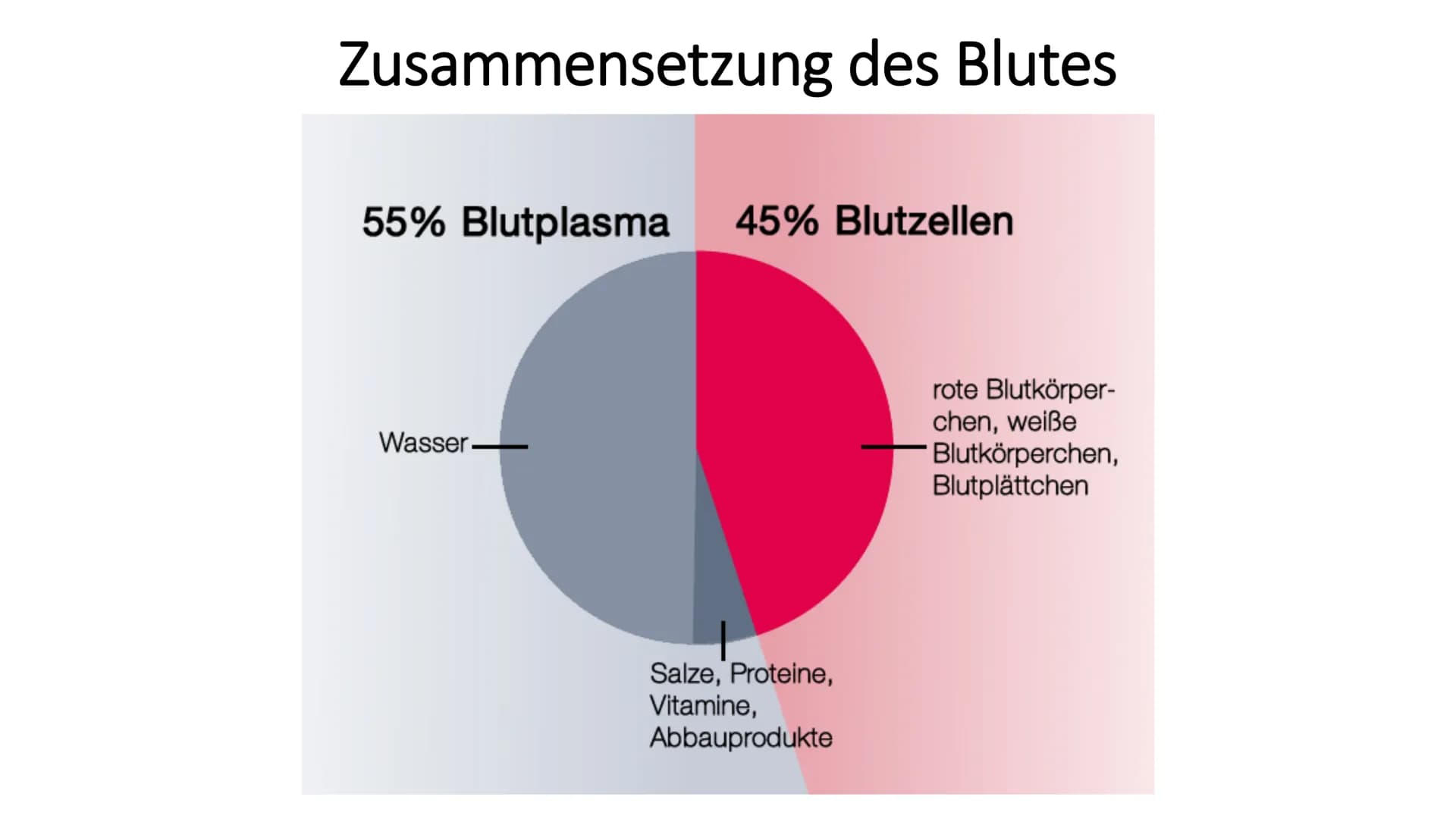 Das Blut
90 -
-
Gliederung
Woher kommt das Blut?
Aufgaben des Blutes
Zusammensetzung des Blutes
Bluttransfusion
- Blutgruppen
- Blutkrankhei