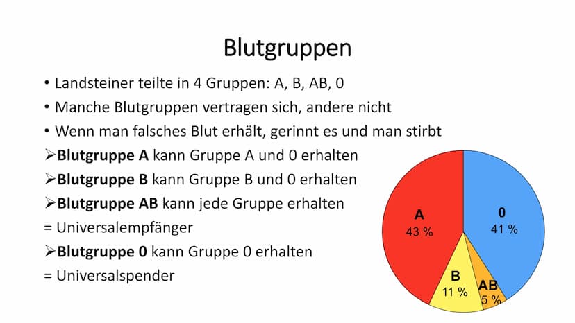 Das Blut
90 -
-
Gliederung
Woher kommt das Blut?
Aufgaben des Blutes
Zusammensetzung des Blutes
Bluttransfusion
- Blutgruppen
- Blutkrankhei