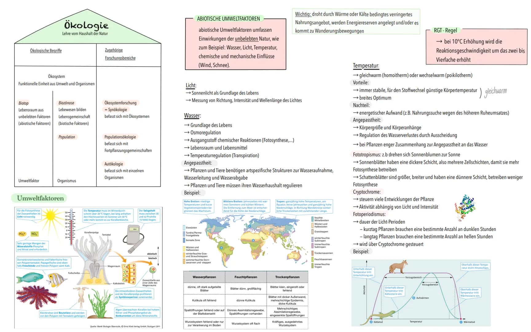 Ökologische Begriffe
Ökosystem
Funktionelle Einheit aus Umwelt und Organismen
Biotop
Lebensraum aus
unbelebten Faktoren
(abiotische Faktoren