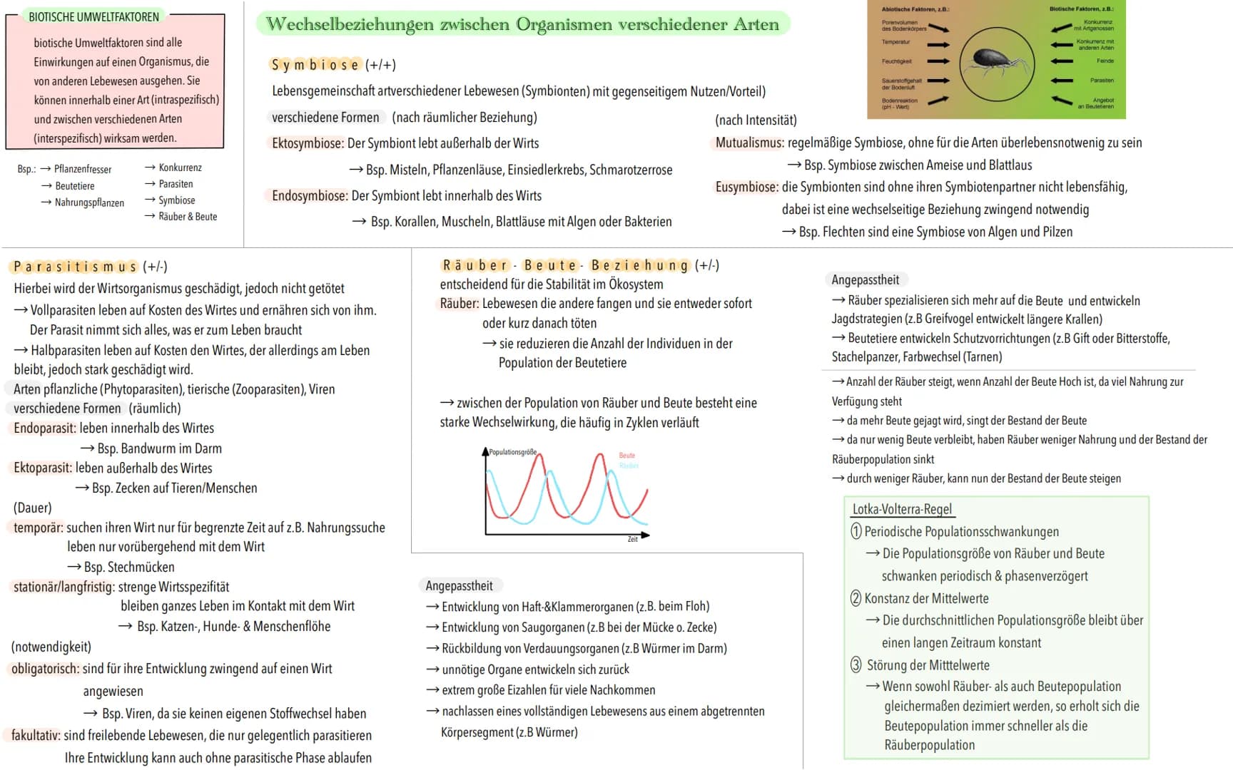 Ökologische Begriffe
Ökosystem
Funktionelle Einheit aus Umwelt und Organismen
Biotop
Lebensraum aus
unbelebten Faktoren
(abiotische Faktoren