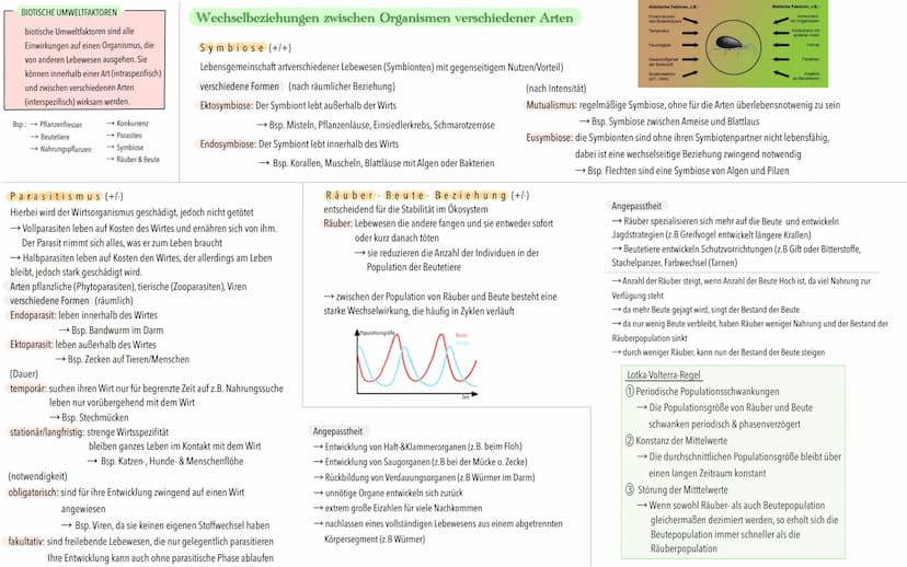 Ökologische Begriffe
Ökosystem
Funktionelle Einheit aus Umwelt und Organismen
Biotop
Lebensraum aus
unbelebten Faktoren
(abiotische Faktoren