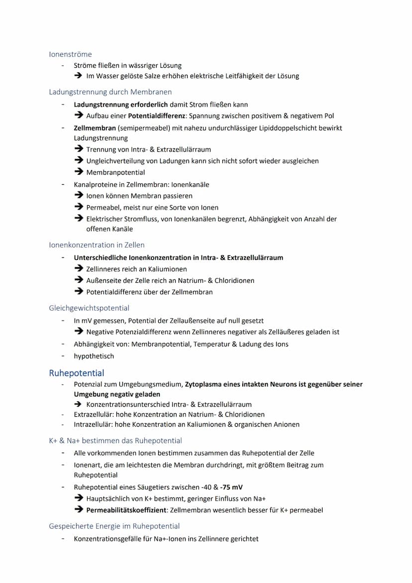Neuronale Informationsverarbeitung
Neuron als Grundelement der Nervenzellen
Kleinster & wichtigster Baustein des Nervensystems
Dienen der In