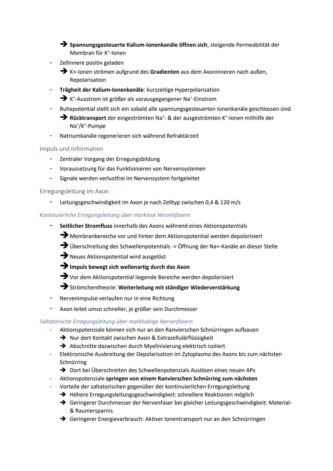 Neuronale Informationsverarbeitung
Neuron als Grundelement der Nervenzellen
Kleinster & wichtigster Baustein des Nervensystems
Dienen der In