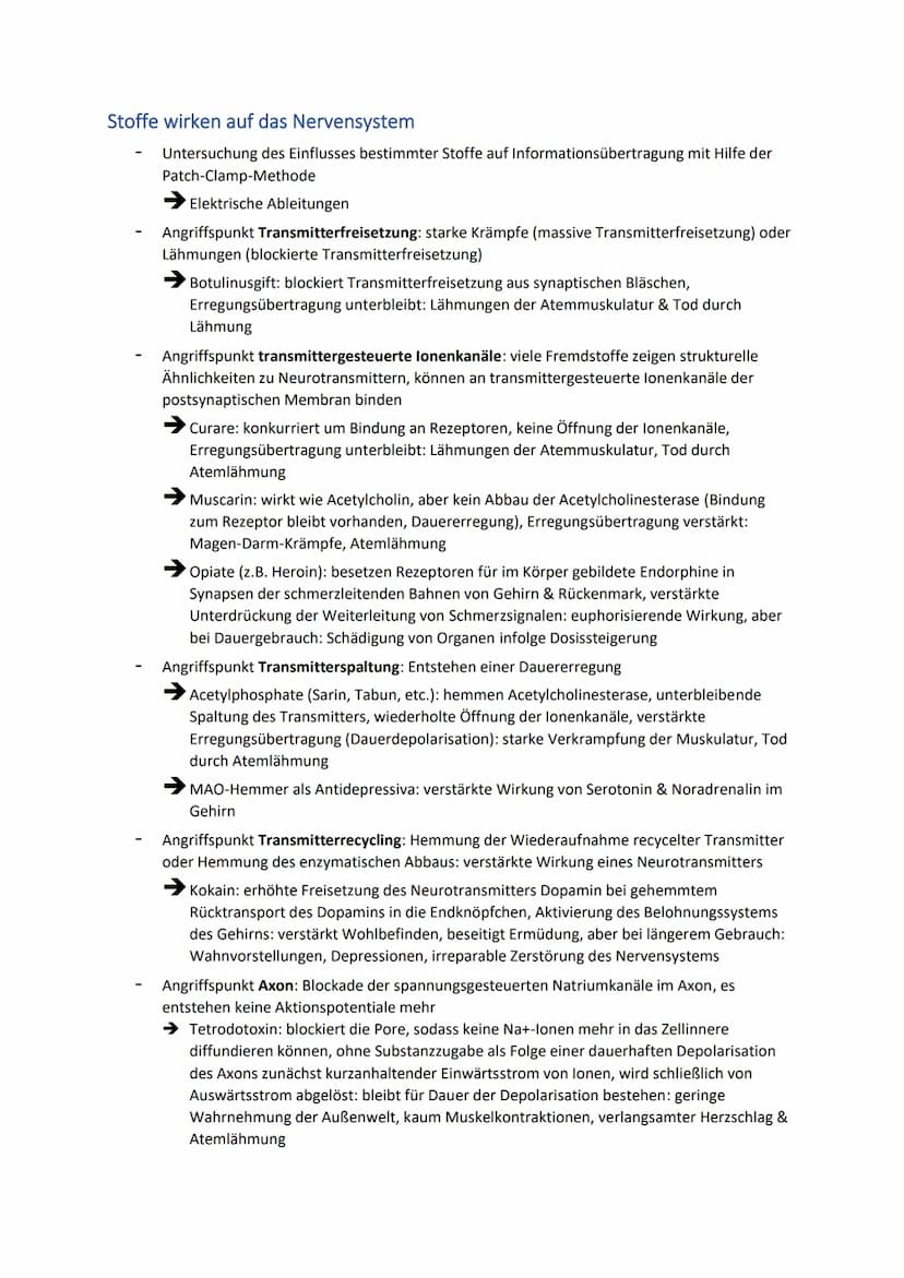 Neuronale Informationsverarbeitung
Neuron als Grundelement der Nervenzellen
Kleinster & wichtigster Baustein des Nervensystems
Dienen der In