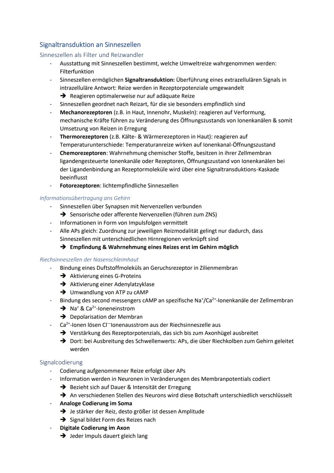 Neuronale Informationsverarbeitung
Neuron als Grundelement der Nervenzellen
Kleinster & wichtigster Baustein des Nervensystems
Dienen der In