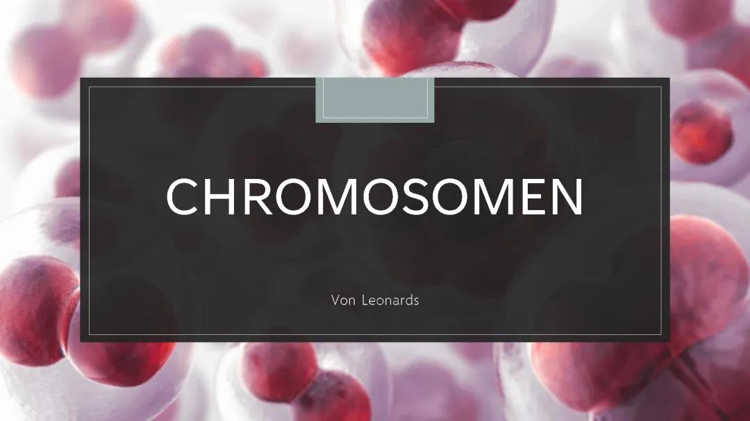 Chromosomen: Was sie sind, wie sie aufgebaut sind und ihre Funktionen in menschlichen Zellen