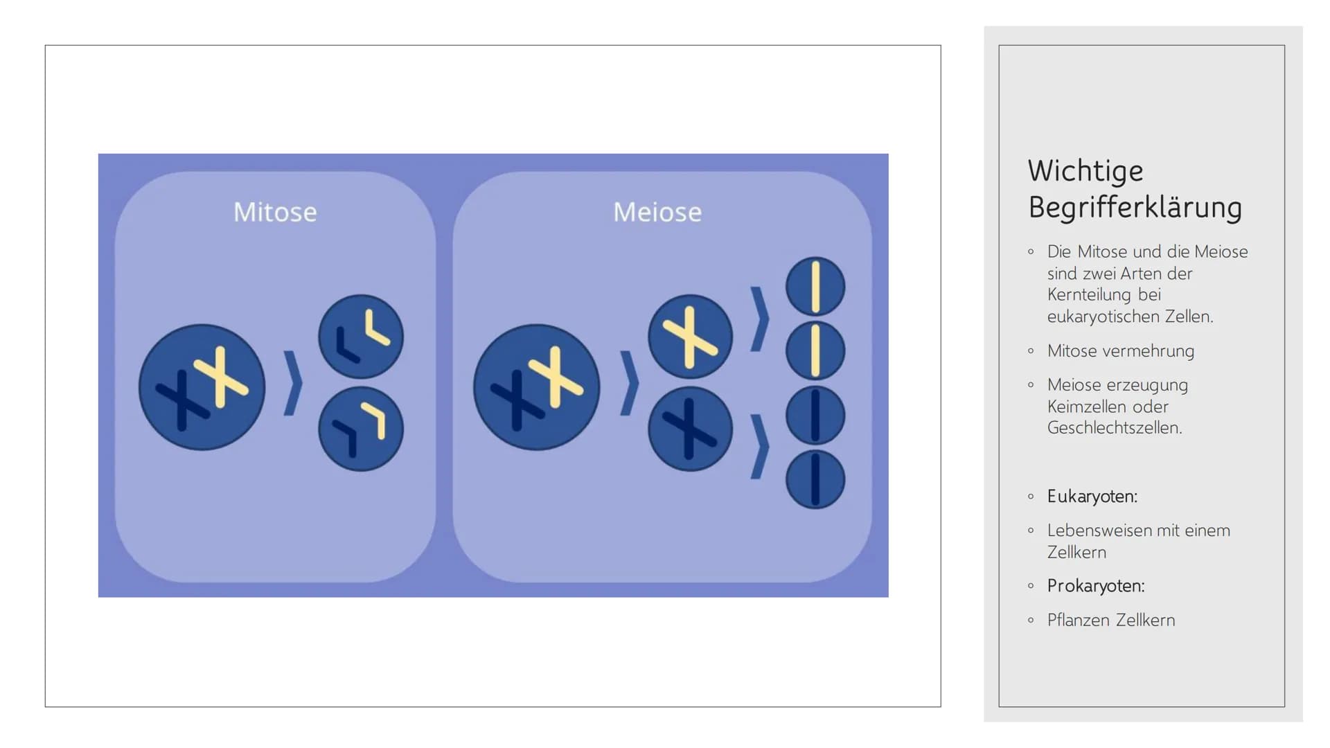 CHROMOSOMEN
Von Leonards Inhalt
o 1.-2. Titelbild + Inhalt
o 3. Definition von Chromoson
4. Definition und Begriff erklärungen wichtiger
Wör