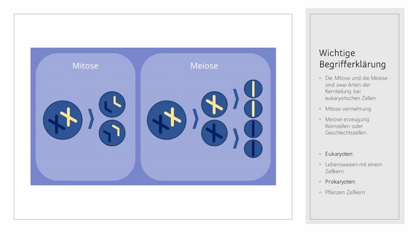 CHROMOSOMEN
Von Leonards Inhalt
o 1.-2. Titelbild + Inhalt
o 3. Definition von Chromoson
4. Definition und Begriff erklärungen wichtiger
Wör