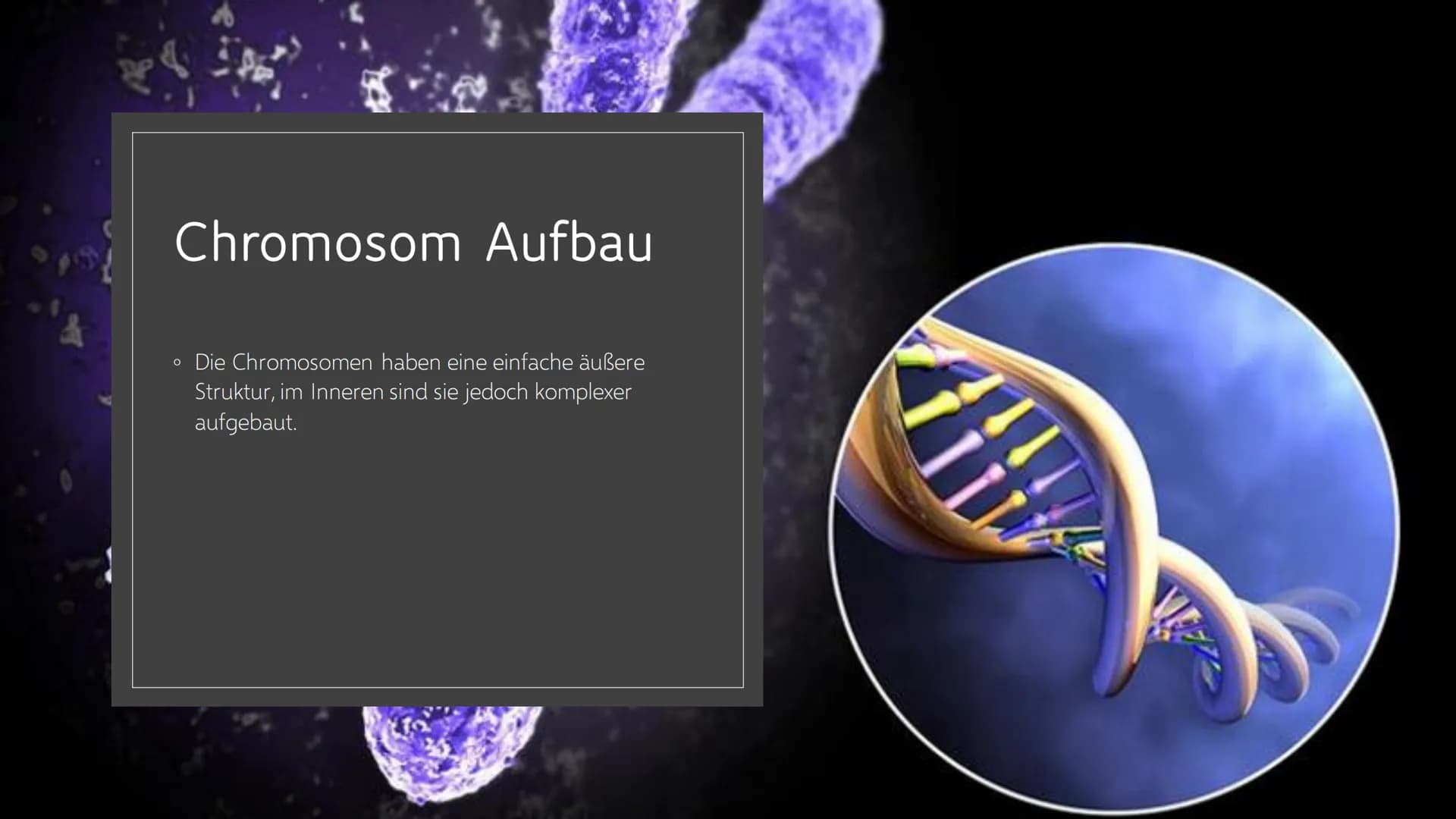 CHROMOSOMEN
Von Leonards Inhalt
o 1.-2. Titelbild + Inhalt
o 3. Definition von Chromoson
4. Definition und Begriff erklärungen wichtiger
Wör