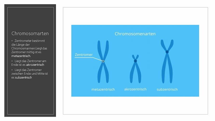 CHROMOSOMEN
Von Leonards Inhalt
o 1.-2. Titelbild + Inhalt
o 3. Definition von Chromoson
4. Definition und Begriff erklärungen wichtiger
Wör