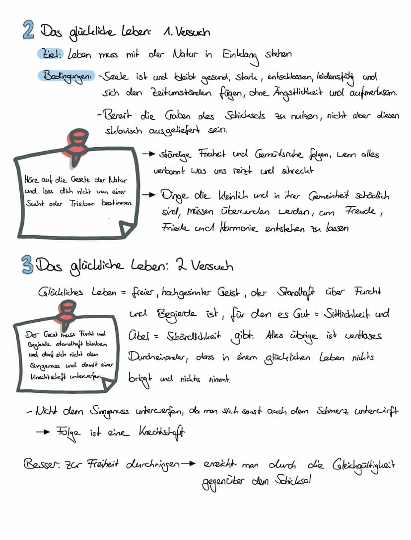 Das glückliche Leben
Ziel der Stoiker ist ein gelingendes, glückliches Leben.
Definition - Seneca
- jeder will glücklich (es) leben, keiner 