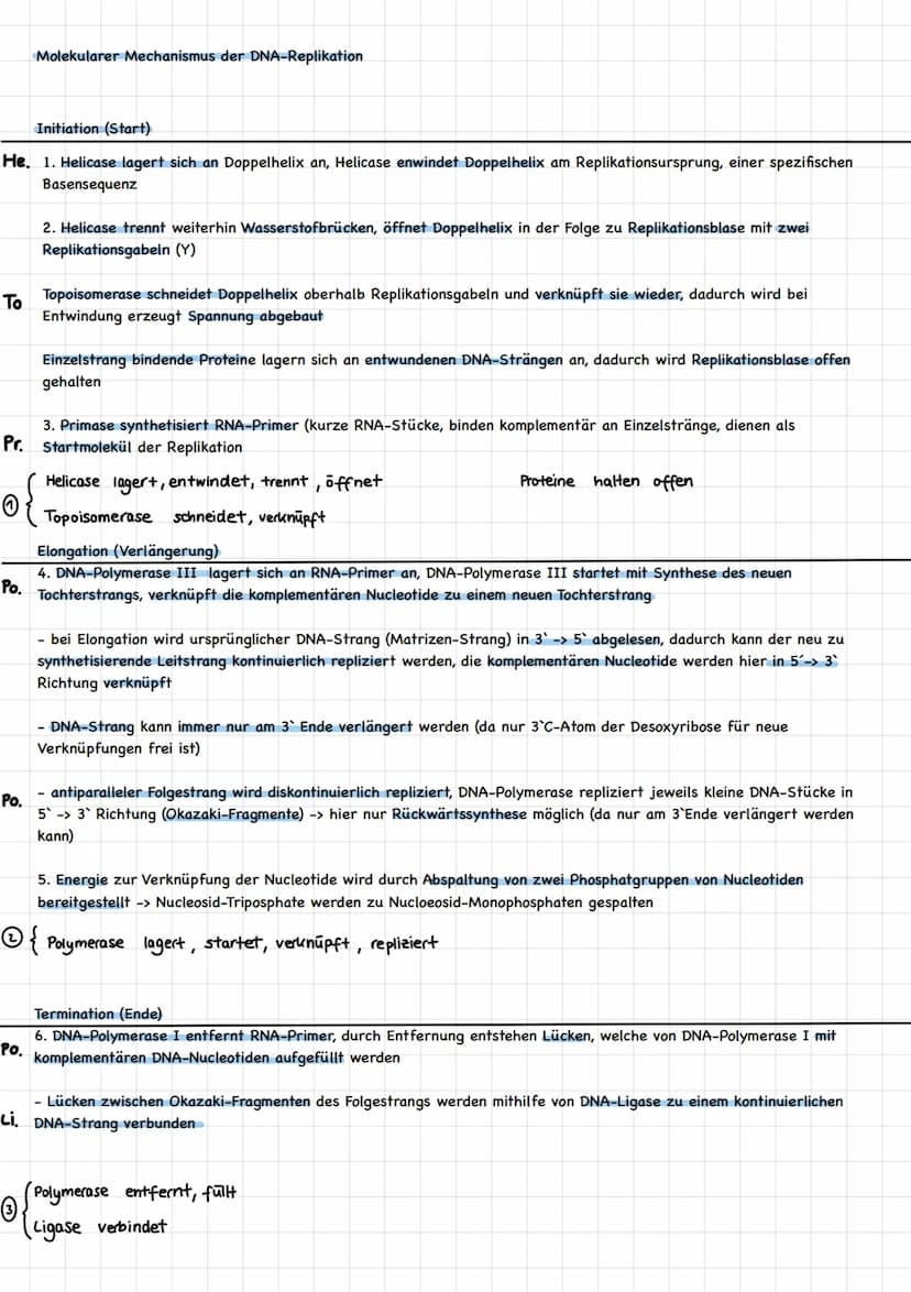 GENETIK
Aufbau einer DNA
5'
1000
• Adenin
●
Thymin
3'
Aufbau:
Thema: DNA-Aufbau u. Replikation
Basenpaar
2 DNA-Stränge -> Doppelhelix
Guanin