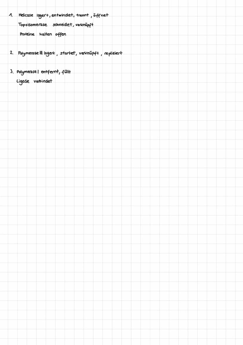 GENETIK
Aufbau einer DNA
5'
1000
• Adenin
●
Thymin
3'
Aufbau:
Thema: DNA-Aufbau u. Replikation
Basenpaar
2 DNA-Stränge -> Doppelhelix
Guanin