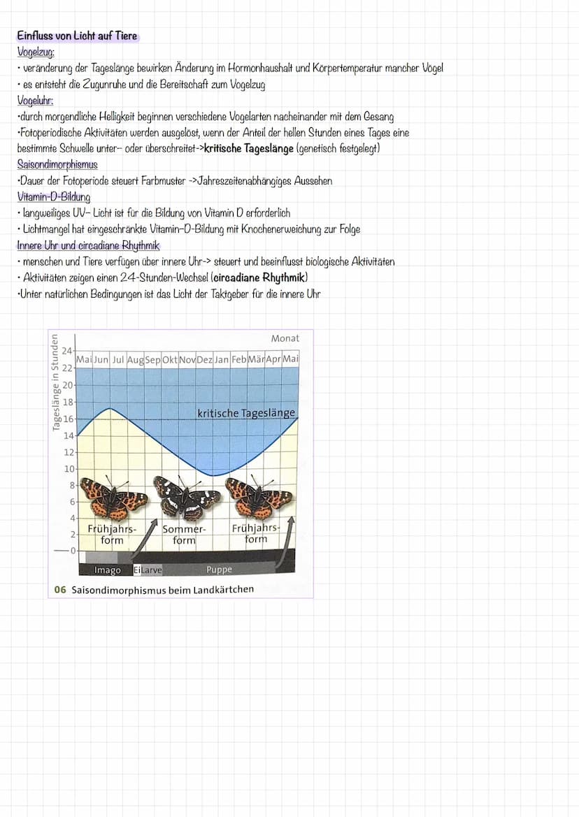 •Temperatur
-Wasser
Licht
Abiotische Umweltfaktoren
beeinflussen die Aktivität von Lebewesen in charakteristischer Weise
bei Variation eines