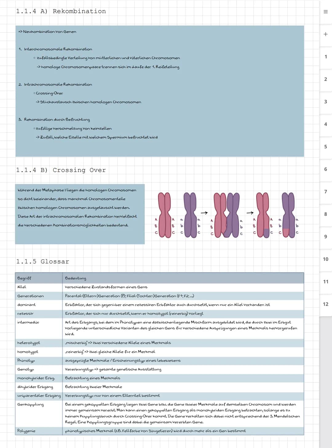 Biologie LK
Abiturvorbereitung abitur.nrw
Leistungskurs
Genetik
Meiose und Rekombination
Analyse von Familienstammbäu-
men
Proteinbiosynthes