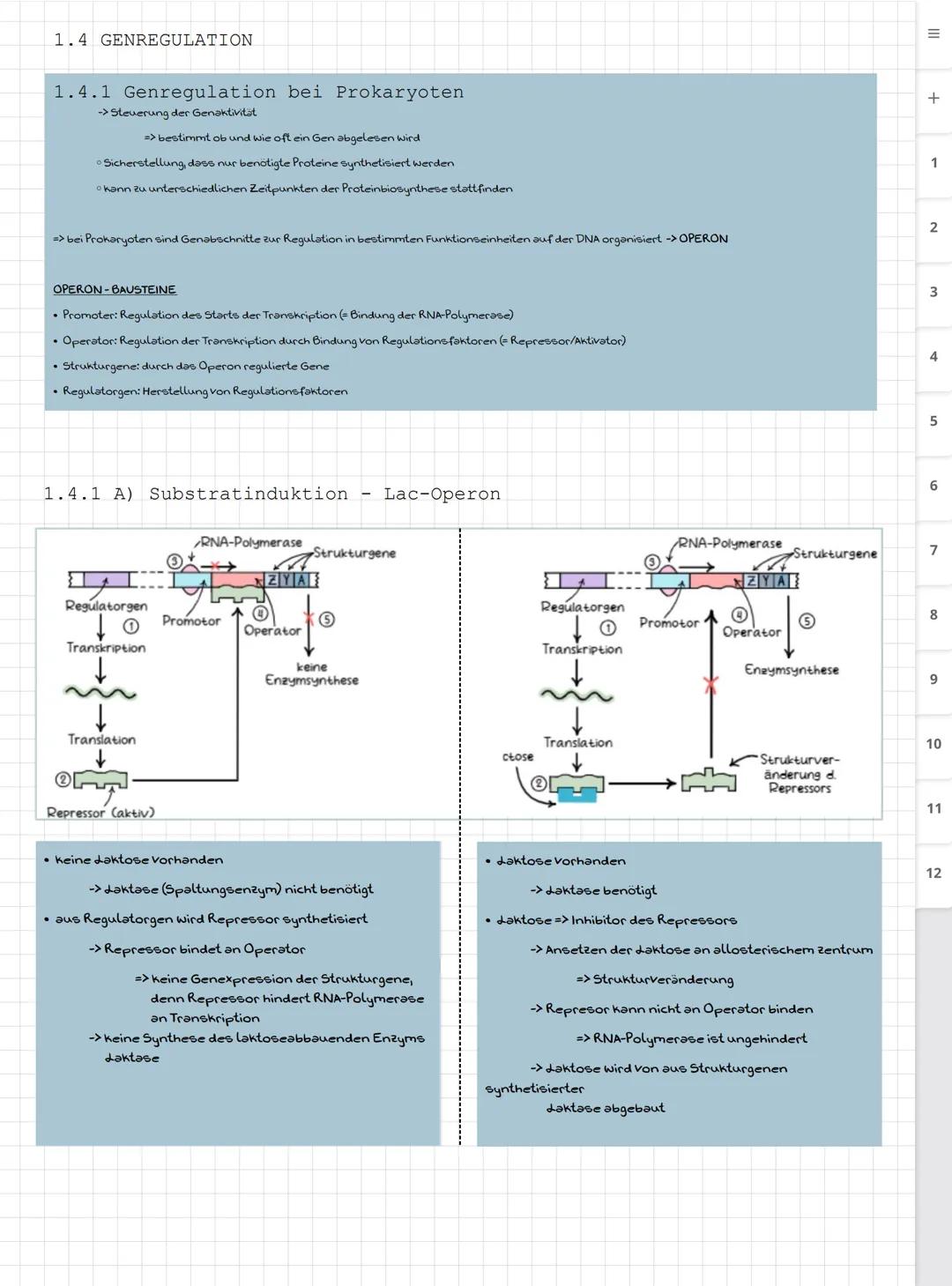 Biologie LK
Abiturvorbereitung abitur.nrw
Leistungskurs
Genetik
Meiose und Rekombination
Analyse von Familienstammbäu-
men
Proteinbiosynthes