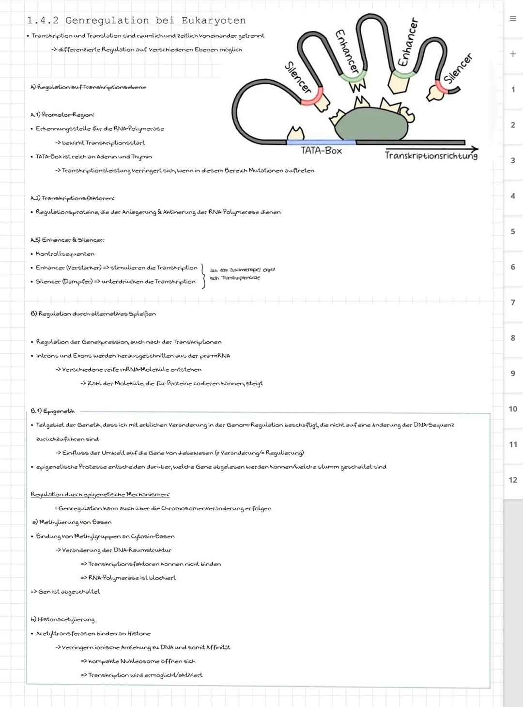 Biologie LK
Abiturvorbereitung abitur.nrw
Leistungskurs
Genetik
Meiose und Rekombination
Analyse von Familienstammbäu-
men
Proteinbiosynthes