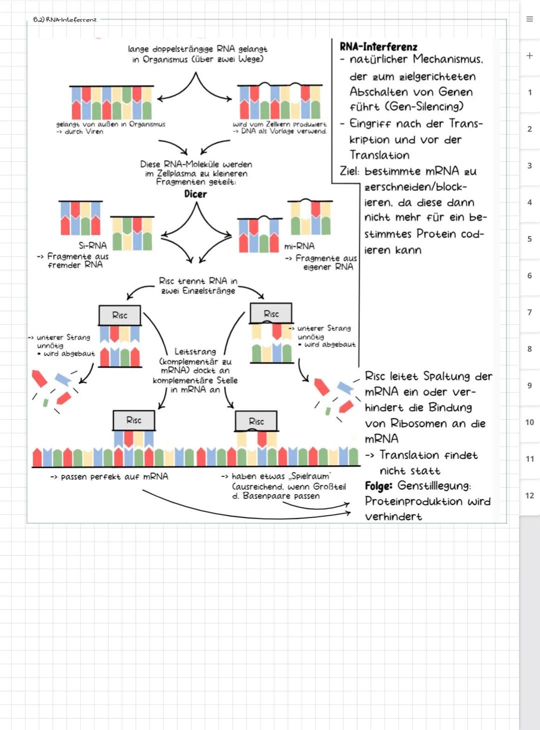 Biologie LK
Abiturvorbereitung abitur.nrw
Leistungskurs
Genetik
Meiose und Rekombination
Analyse von Familienstammbäu-
men
Proteinbiosynthes