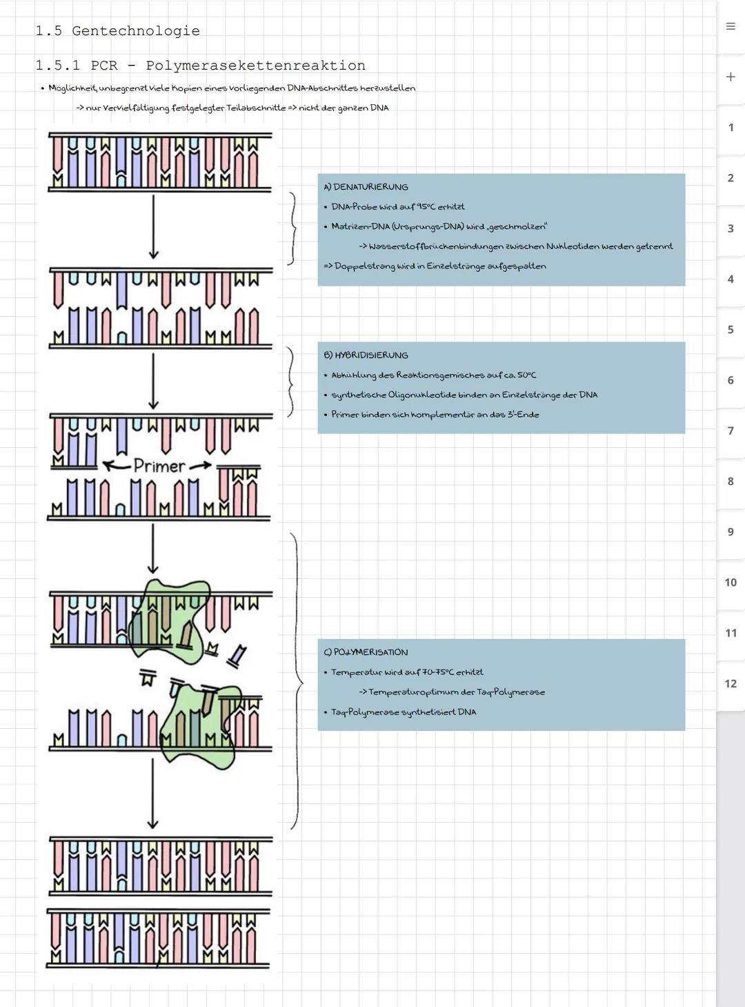 Biologie LK
Abiturvorbereitung abitur.nrw
Leistungskurs
Genetik
Meiose und Rekombination
Analyse von Familienstammbäu-
men
Proteinbiosynthes