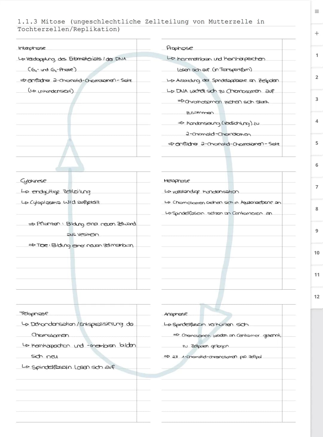 Biologie LK
Abiturvorbereitung abitur.nrw
Leistungskurs
Genetik
Meiose und Rekombination
Analyse von Familienstammbäu-
men
Proteinbiosynthes