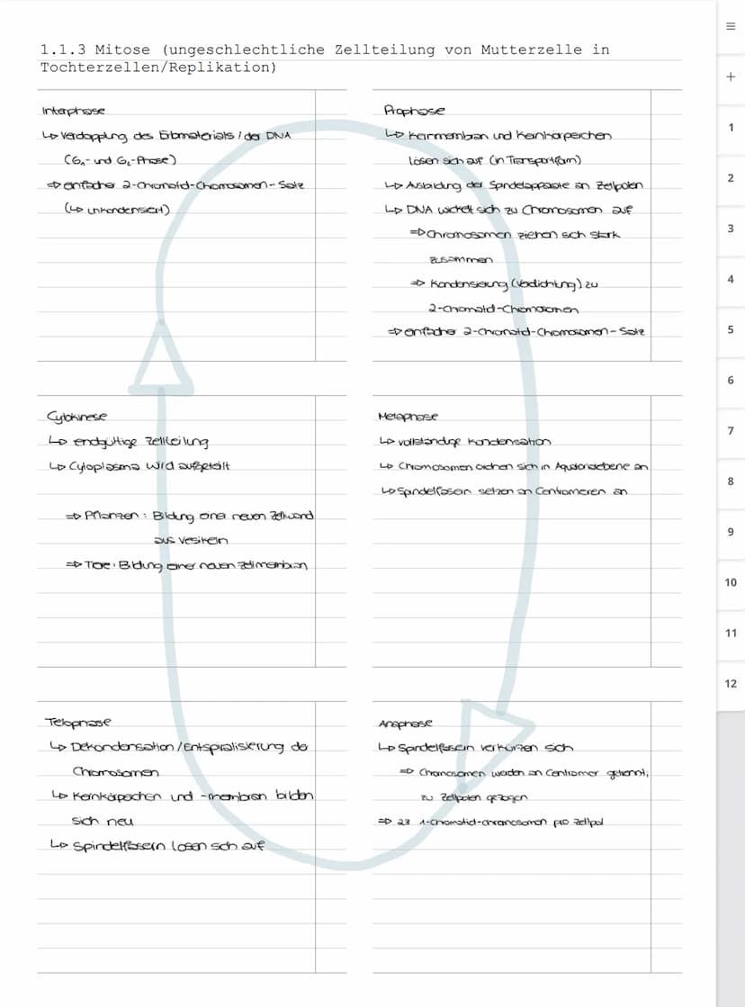 Biologie LK
Abiturvorbereitung abitur.nrw
Leistungskurs
Genetik
Meiose und Rekombination
Analyse von Familienstammbäu-
men
Proteinbiosynthes